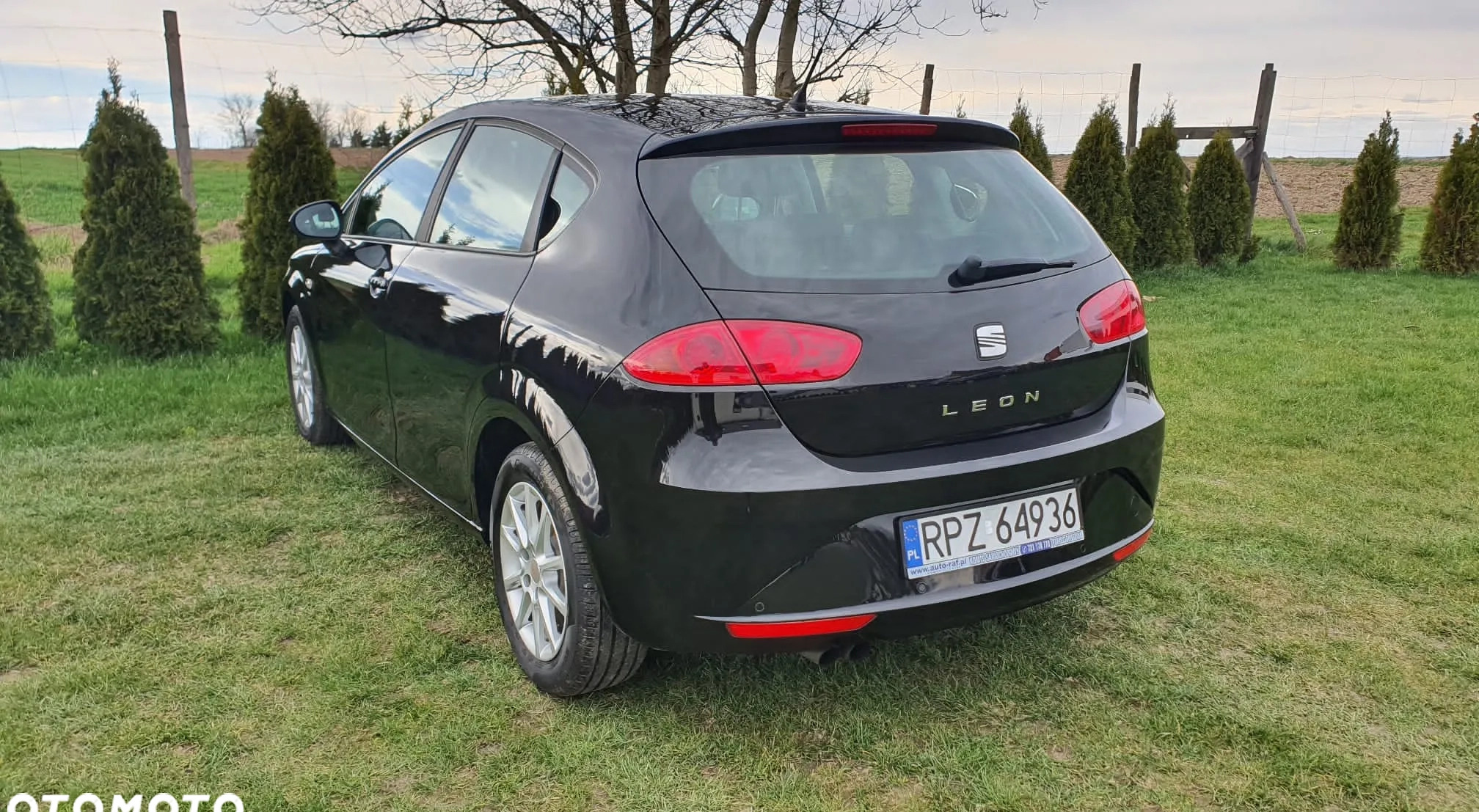 Seat Leon cena 18500 przebieg: 238425, rok produkcji 2010 z Przemków małe 106